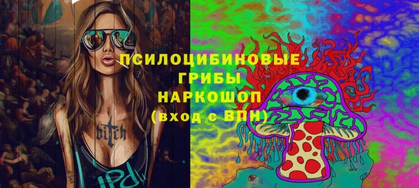 МДПВ Алексин