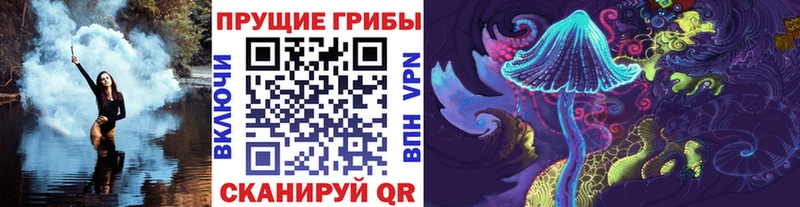 Псилоцибиновые грибы мухоморы  купить наркотик  Пугачёв 